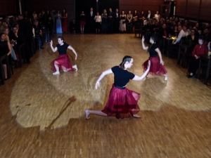 Benefiční ples Litomyšl, KD Čistá, 3.2.2023